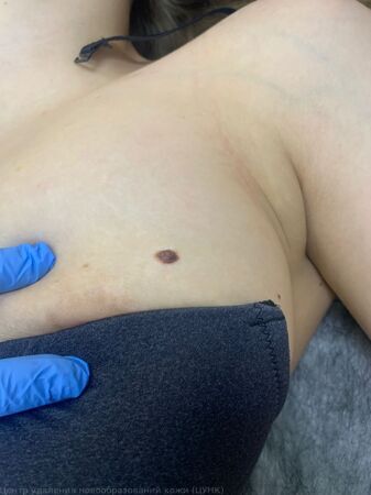 WhatsApp Image 2025-11-12 at 15.46.02