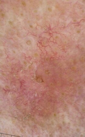 WhatsApp Image 2023-02-10 at 09.27.14 (3)