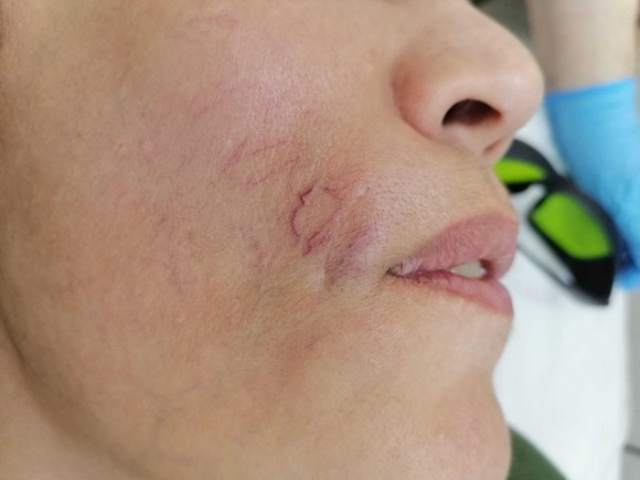 WhatsApp Image 2025-10-15 at 11.53.58