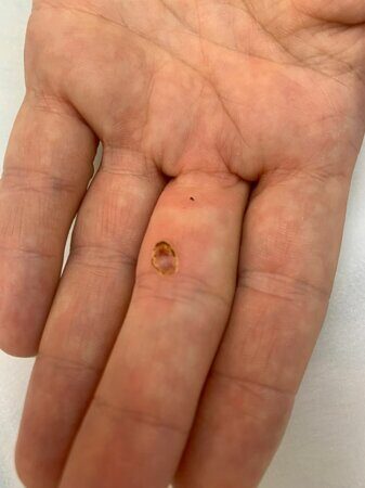 WhatsApp Image 2023-05-15 at 12.31.36