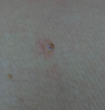 WhatsApp Image 2023-01-11 at 16.32.01 (1)