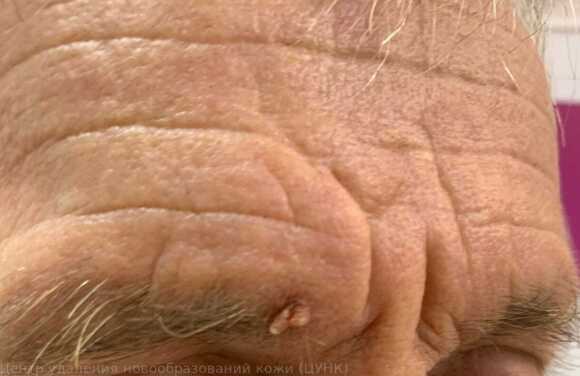 WhatsApp Image 2025-10-28 at 23.00.51