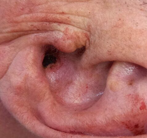 WhatsApp Image 2023-05-17 at 16.26.49