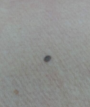 WhatsApp Image 2023-01-11 at 16.32.01