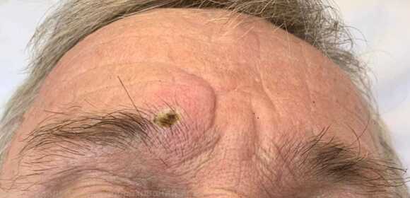 WhatsApp Image 2025-10-28 at 23.00.50