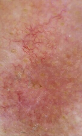 WhatsApp Image 2023-02-10 at 09.27.14 (2)