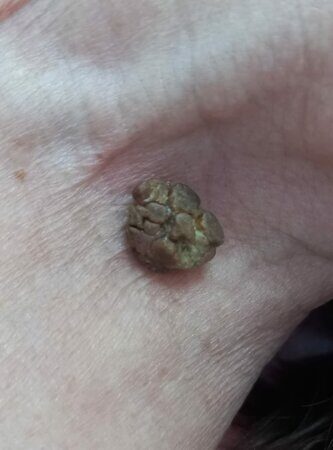 WhatsApp Image 2023-05-10 at 16.59.58