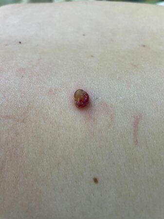 WhatsApp Image 2023-04-02 at 19.23.22