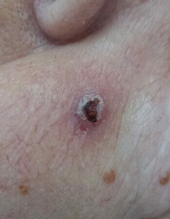 WhatsApp Image 2023-04-04 at 10.44.14